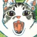 munnstkke