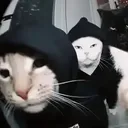 tclawss