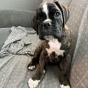 avatar molly