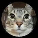 maksi122 avatar