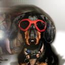 avatar Ramsii★ ˚。⋆