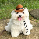 avatar مانهمه ای منیمی