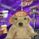 avatar مانهمه ای منیمی