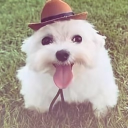 avatar مانهمه ای منیمی