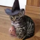 jasboigaming