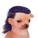 de_wey