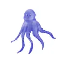 0ct0pu
