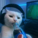 gamer7902.