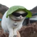 kaxyum