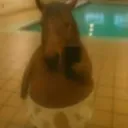 royadn