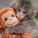 avatar 🥀Daniellaaa 🥀