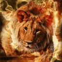 jrexequiel.fx