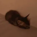 kevnkei