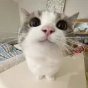 wymhope