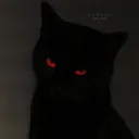 h_zh