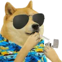 dogeland