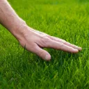 grasstoucher69