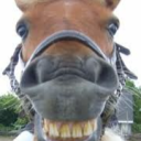 https://cdn.discordapp.com/avatars/852623792454893608/5910430020ca60b4dc7e89951c654db9.png