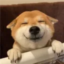 hypzxd