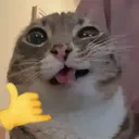 omatheuss