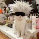 gaaaruuuu