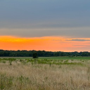 retiredasshole7022's Avatar