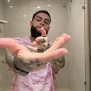 aleeemm