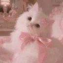 pinketh