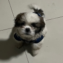 juanagallo