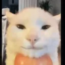 tomatosavage13 avatar