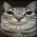 fher1082 avatar