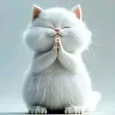 bappa0099