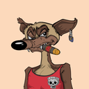 spacecoyote5506