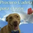 jaubio
