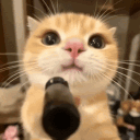 nituxshii