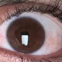 avatar Legend never die 🙂↔