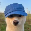 sirkasper