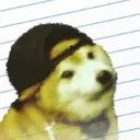 theinternet_explorer