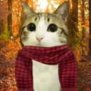 avatar onceiwasanewsoul