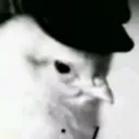 bootytickler30001