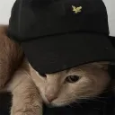 nsjy