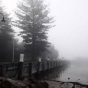 avatar FreeSmokeMerchant