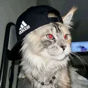 envityxd