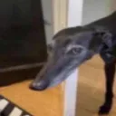 yahyaman