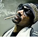 doxes420