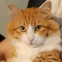 frechenudelll