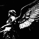 terro666._