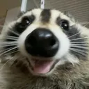 justtrylex
