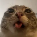 mstrmatter