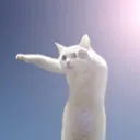 longlongcat0774
